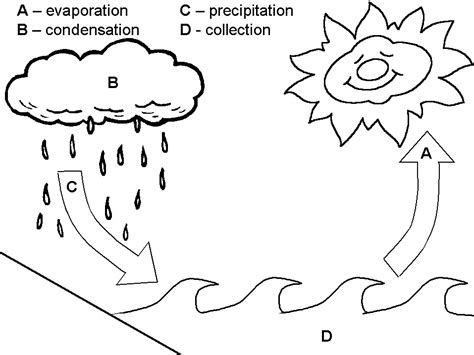 Practice: Water Cycle .